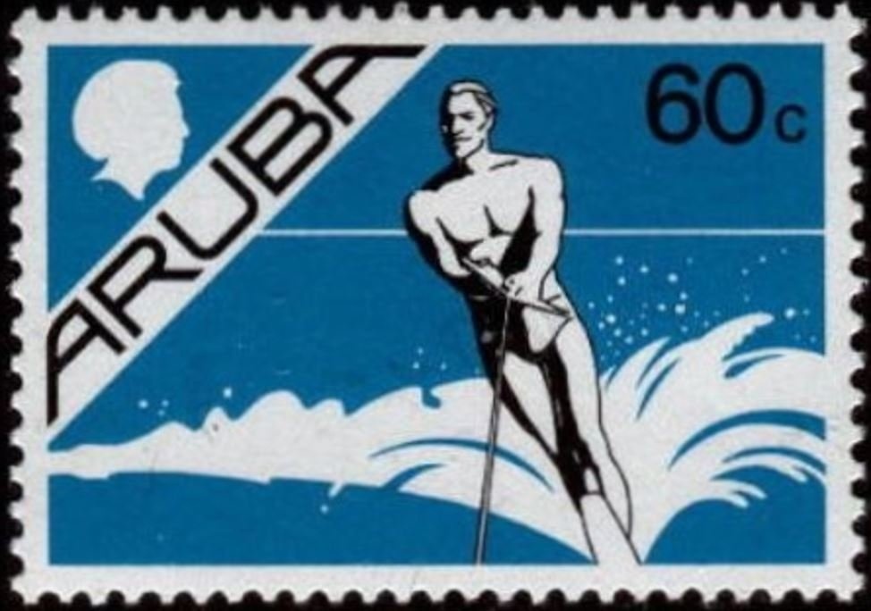 Green Sea Turtle (Chelonia mydas)