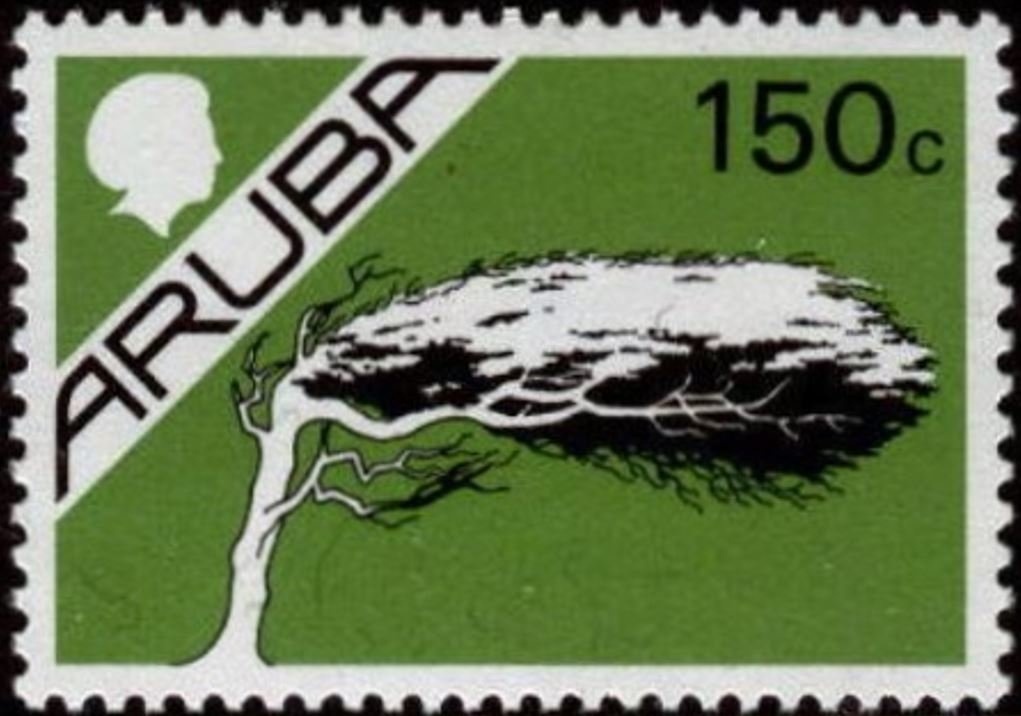 50th Anniversary of the Victory of “Ararat-73”