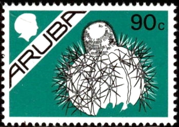 Cramer's Eighty-eight (Diaethria clymena)