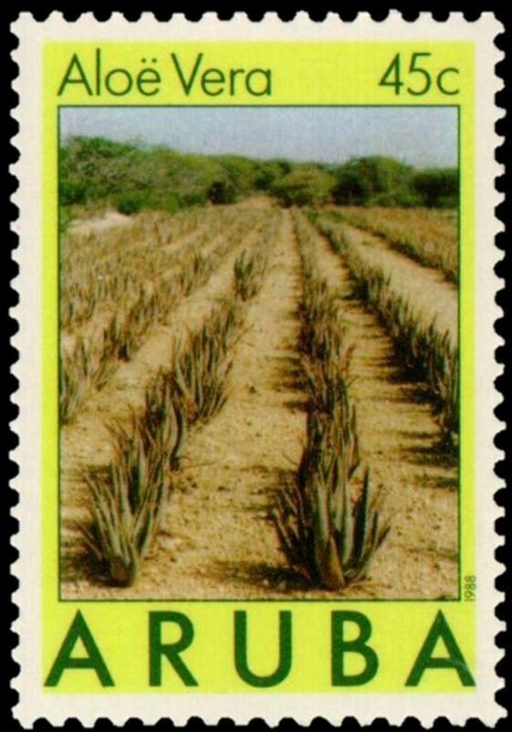 "Allure of the Seas"