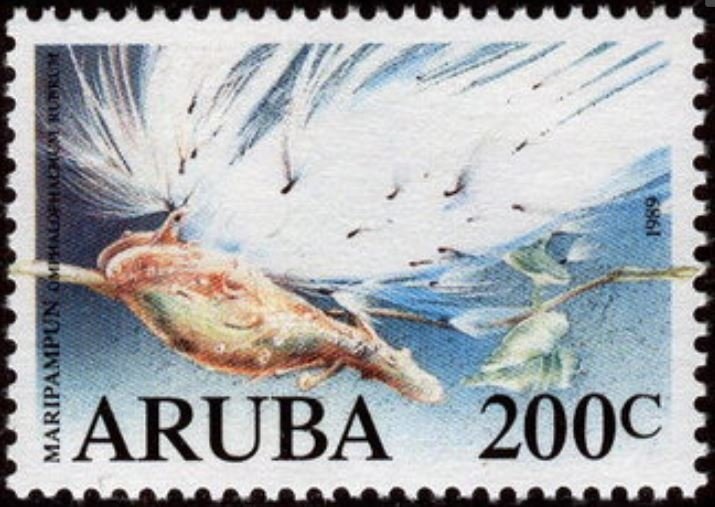 YMCA emblem in geometric designs