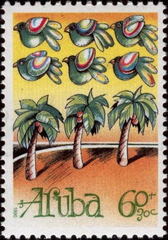 Common Bottlenose Dolphin (Tursiops truncatus)