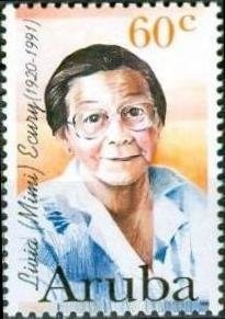 Karabakh Horse (Equus ferus caballus)