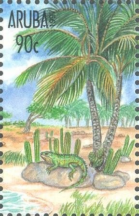 Burrowing Owl (Athene cunicularia)