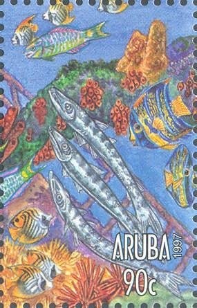 Domestic Cat (Felis silvestris catus)