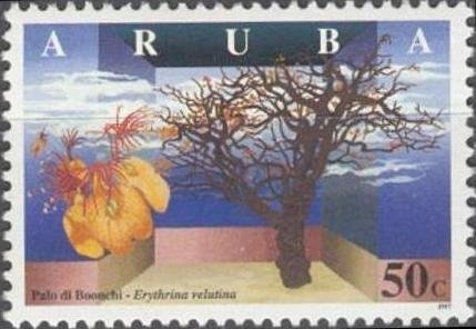 Ostrich (Struthio camelus) - juvenile