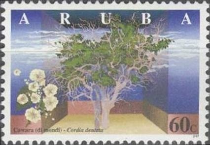 Mount Aragats, Gevorg Bashinjaghyan