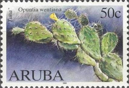 Tomatos and Pumpkins