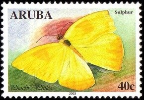 Queen Angelfish (Holacanthus ciliaris)