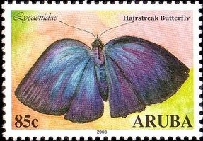 Ostriches - Block of 10