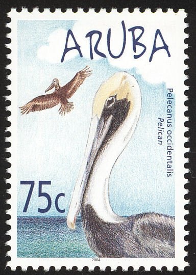 Whistling Heron (Syrigma sibilatrix)