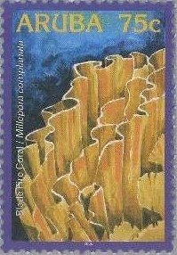 Boy Reading a Book on the Beach