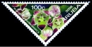 Snowy Egret (Egretta thula)