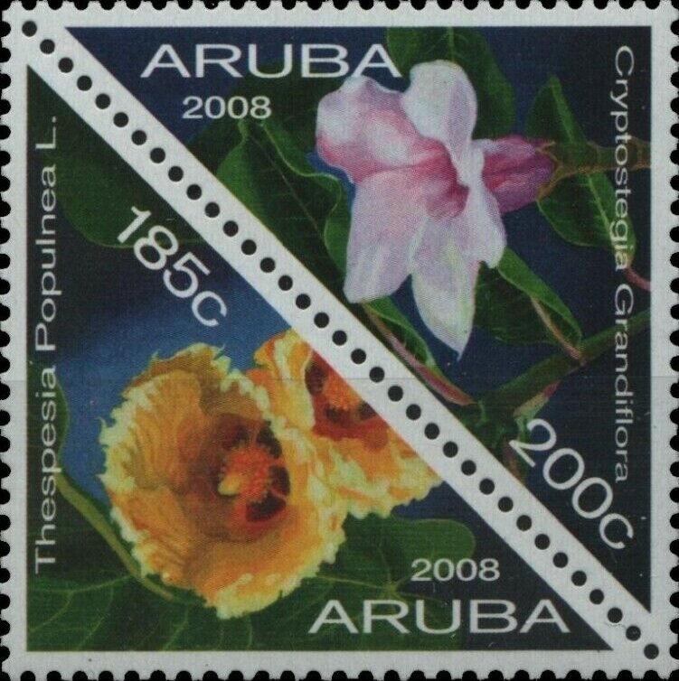 Chinese New Year 2022 - Year of the Tiger