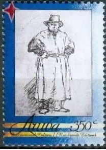 Allen's Gallinule (Porphyrula alleni)