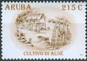 Destroyed Armenian Cultural Heritage - Cemetery of Julfa