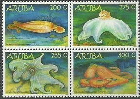 Parasol (Macrolepiota procera)