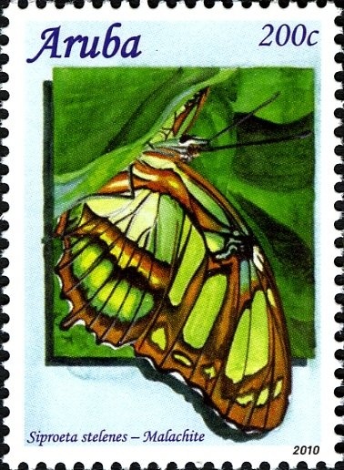 Princes William and Harry on horseback