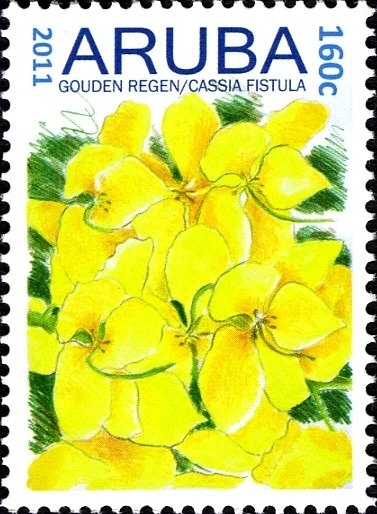 Armenian National Football Team