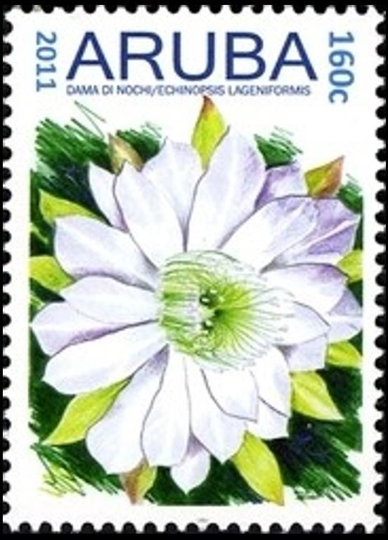 Large Skipper (Ochlodes venatus)