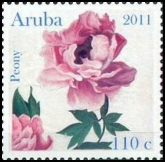 Crowned Eagle (Stephanoaetus coronatus)