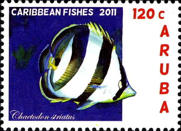 HMS Magpie - Includes Eurasian Magpie (Pica Pica)