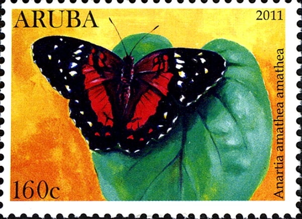 Diadem or Danaid Eggly (Hypolimnas misippus)