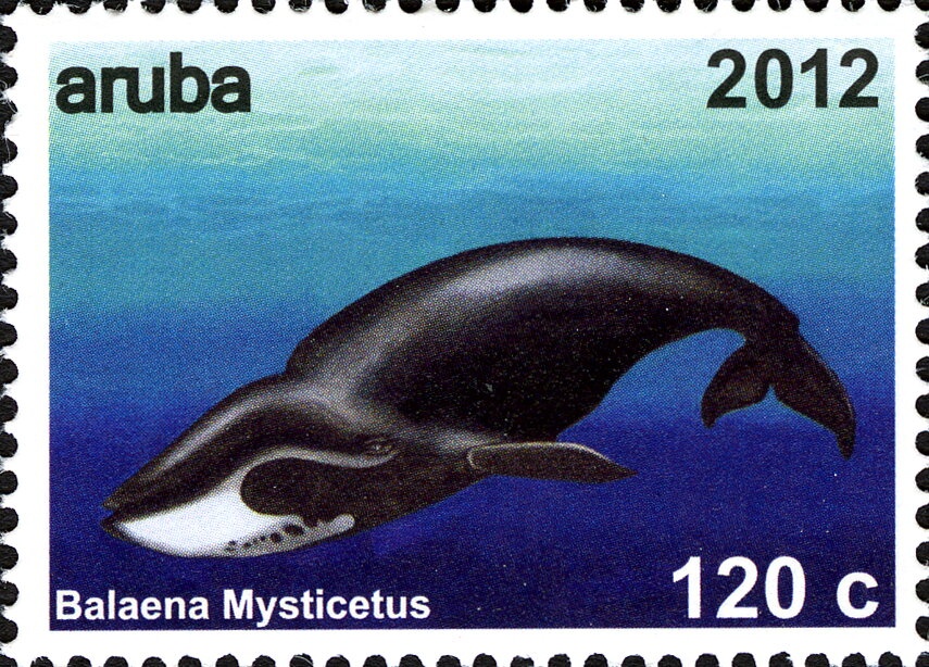 Poghos Bek-Pirumyan (1856-1921), Armenian military leader