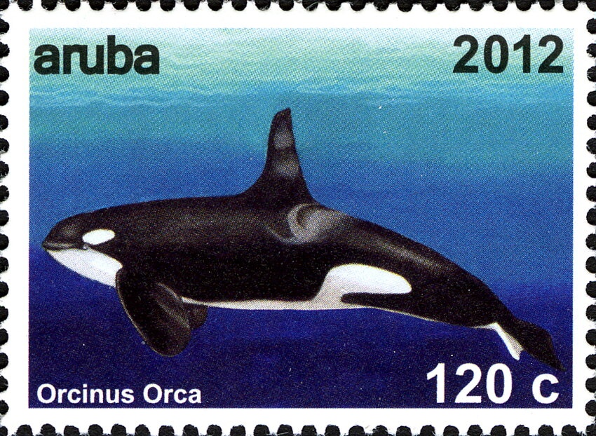 sheet 2*4, 2012 Summer Olympics, London