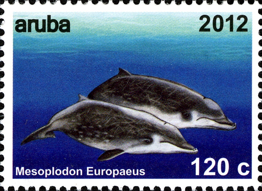 European Football Championship 2024 - Germany