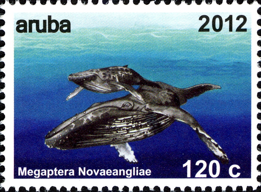 HMS Magpie - Includes Eurasian Magpie (Pica Pica)