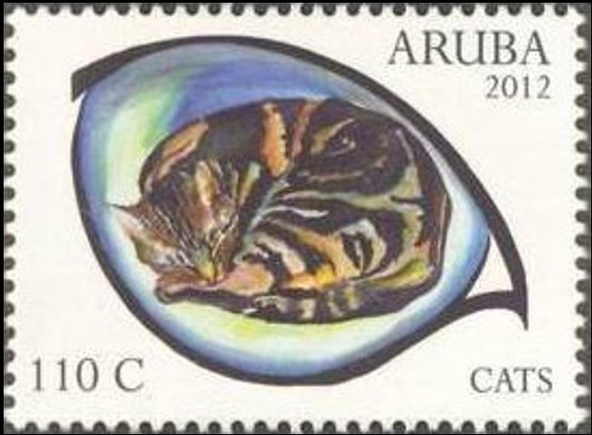 Indian Myna (Acridotheres tristis)