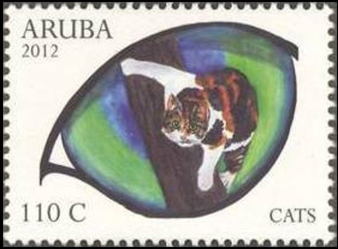 Blue Morpho (Morpho peleides)