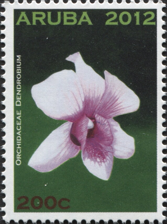 Orange Tip (Anthocharis cardamines)