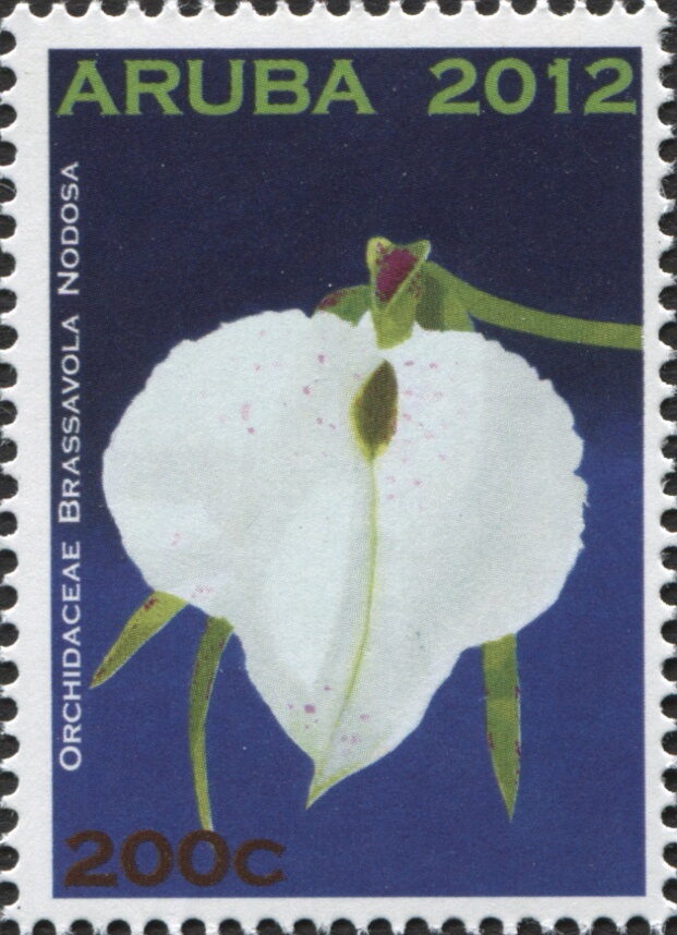 775th Anniversary of Gandzasar Monastery