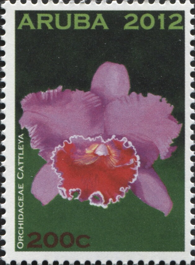 Galileo,Telescope,Drawing