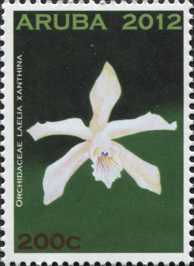 Princes William and Harry on horseback