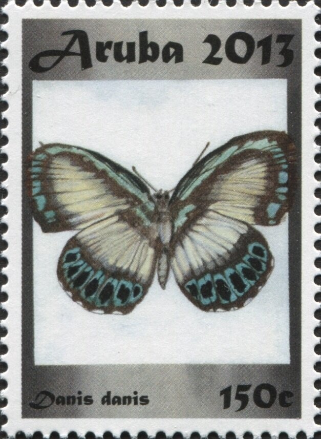 Atlas Moth (Attacus atlas) - Part