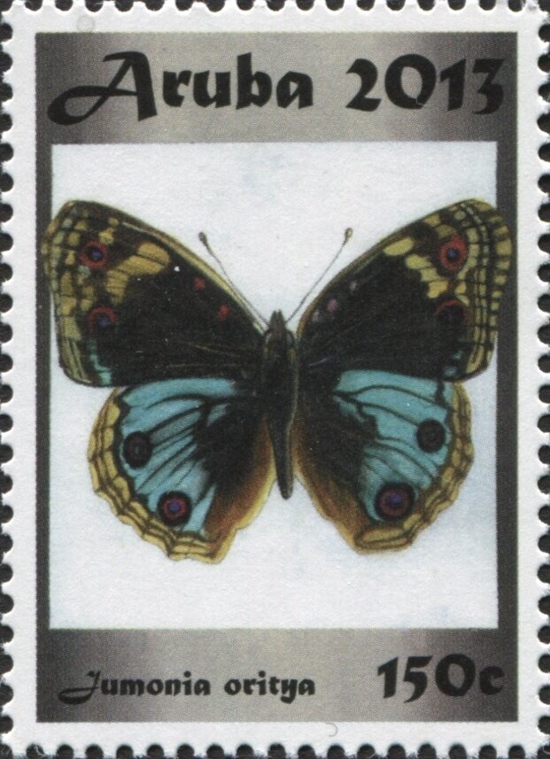 Mount Aragats, Gevorg Bashinjaghyan