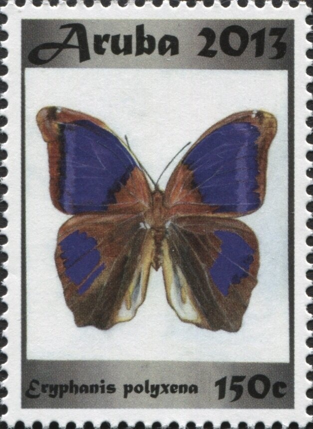 Santa Claus by beach