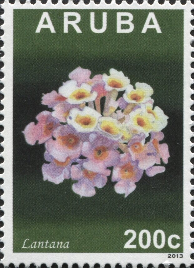 Ancient Hammer and Grain Grinder