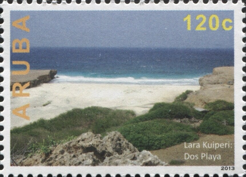 Atlas Moth (Attacus atlas)