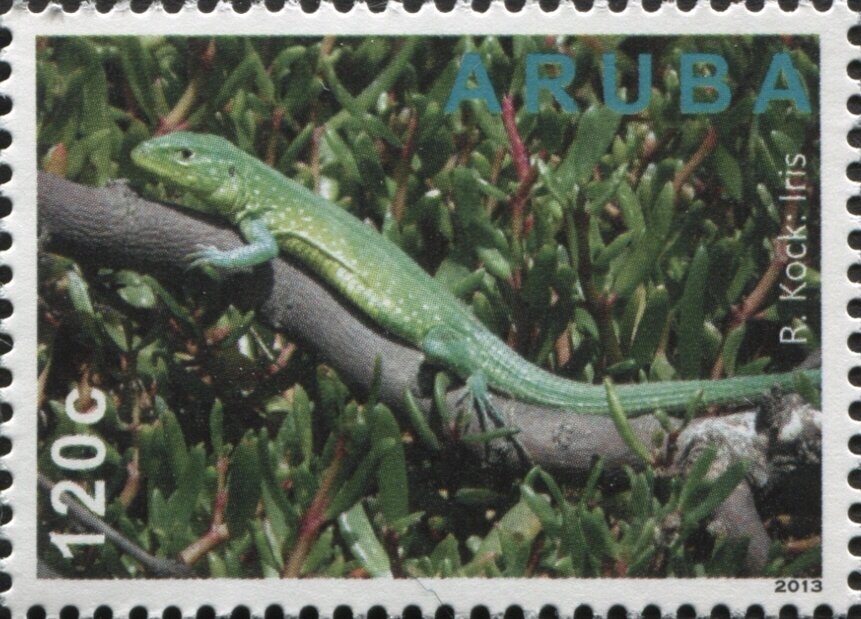 Tricoloured Heron (Egretta tricolor)