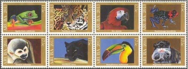 Marasmius Echinosphaerus