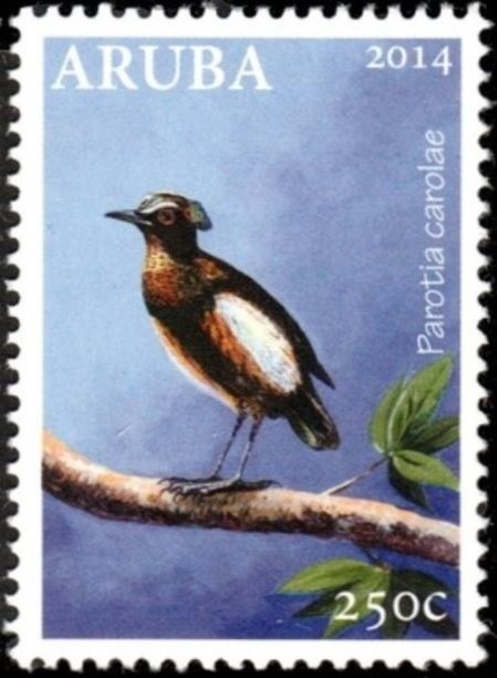 Horse-eye Jack (Caranx latus)