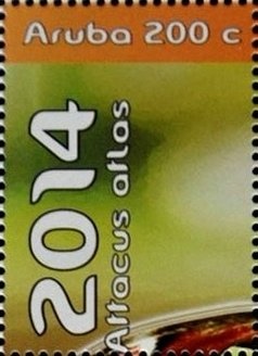 Armenian Presidency of Collective Security Treaty Organizati