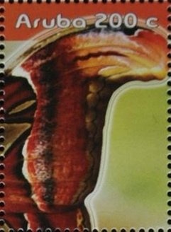 Block of 4, Summer Olympics