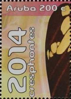 Amsonia tabernaemontana