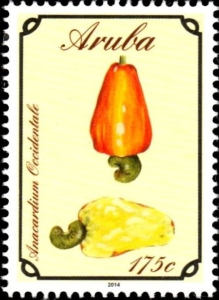 Chinese Year of the Pig