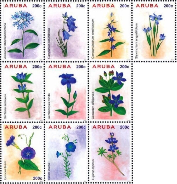 Devoted to your Service : Marriage